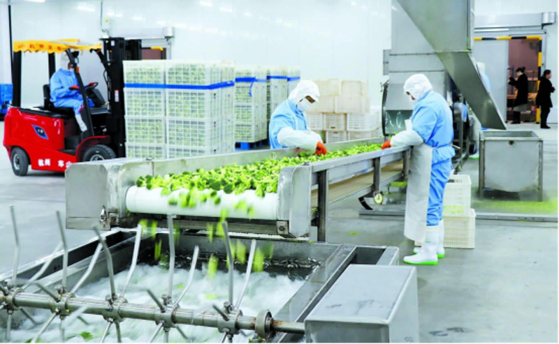 食品代加工:市场风云变幻中的新机遇